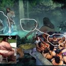 선녀와 나무꾼 이미지