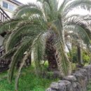 남원읍-64 이미지