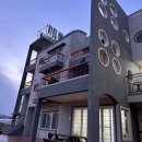 소로안펜션 | [숙소 이용 후기] 소로안펜션 (제주도 서귀포 하원동) - 중문색달해수욕장 근처 답다니수국밭과 올레...