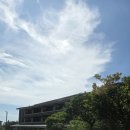 신화약품 | 제주 신화월드 서머셋 외부 부대시설 cu 편의점, 벨라 베이커리 카페