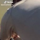 물고기아저씨 이미지