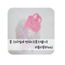 러블리몽 | 반려동물 직수입/애견용품 쇼핑몰 몽 스타일에 반하다:: 러블리한 곰돌이와 풍성한 튜튜 원피스 &#39;러블리몽&#39;
