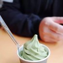 (제주도 여행) 오설록 티 뮤지엄 추천메뉴! 세작/녹차 아이스크림 by 리코GR2