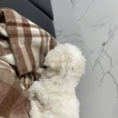 송이종합동물병원 이미지