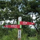 위라리 이미지