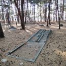 화진포(거진)해변 이미지