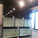 핫초네 멍멍샵 이미지