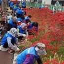 진주실비 이미지