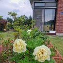 유진부동산중개사무소 이미지