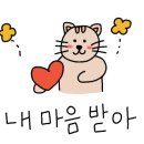 땅스부대찌개풍납