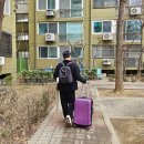 전곡양꼬치 | 아이슬란드 신혼여행 2월 핀에어 AY042 기내식 눕코노미 후기