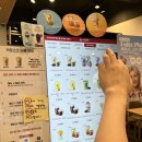 대구 서구 공차 초코바른 민트 쿠키 스무디 먹은 후기