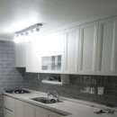 삼보신우 이미지