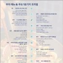 실용 양재 심화반 | 서초구 쿠킹클래스 2025년 기초 요리반 모집 | 에스프릿셰프 12주 완성 과정