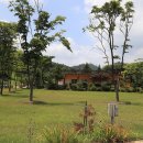 구학산채 이미지