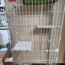 제주오름동물병원 이미지