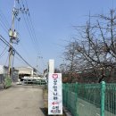 공임나라 곡선점 이미지