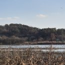 우포의 숲속 이미지