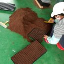 다정이네 이미지