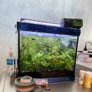 바다세상 | 방배동 바다회세상 점심 먹은 후기