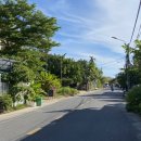 옴펙토리 이미지