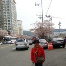 아름여행사 - 화성시 삼천병마로 1276 | 아름여행사