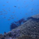 동백V-TOWN 이미지