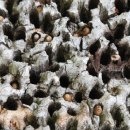 먹이창고 이미지