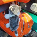 장전로6번길(3-359) | [골프] 단풍이 너무 아름다운 더크로스비 CC 동기들과 단체 라운딩 후기