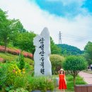 삼선산 수목원 이미지