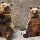 곰요가 - 하동군 악양동로 382 | 곰요가