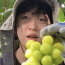 샤인유치원 이미지