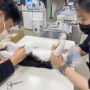 상록동물병원 이미지