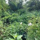 광암농장 이미지