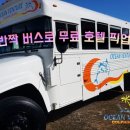 돌핀99 이미지