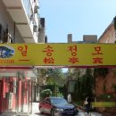 일송정민박