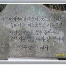 부산 해운대 구덕포간 둘래길(두리산악회) 이미지