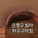 유정필로티