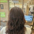 더블유헤어 이미지