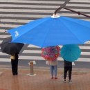 건널목 앞 이미지