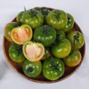 토마토 쇼핑하우
