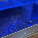 갓바위숯불구이 이미지