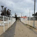 도그렉스 이미지