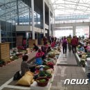 고원 경로당 이미지