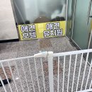 멍지중지 이미지