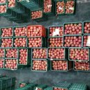 선바위농원 이미지