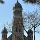 새보건약국 이미지