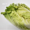 281 | [D+281] 후기이유식 배추 큐브 만들기 - 배추 손질하는법, 자기주도이유식 시작