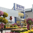 국화라이프 이미지