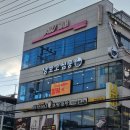 냥 | 수원 고양이 카페 냥보고심쿵 후기, 수원 실내 놀거리 추천